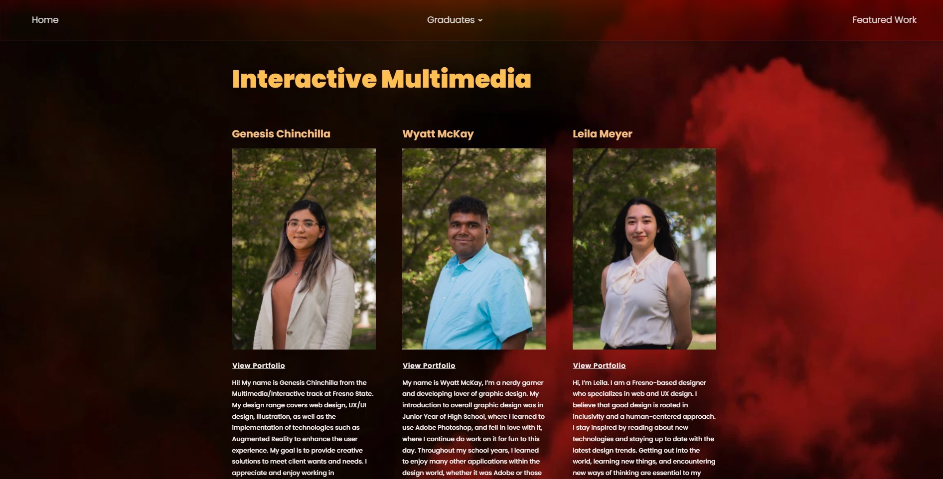 BFA Interactive Multimedia